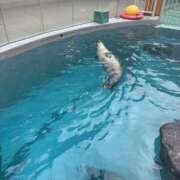 ヒメ日記 2026/03/22 11:53 投稿 戸田 AROMA VENUS