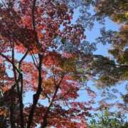 ぴんきー ぴんきー（clubさくら梅田店） clubさくら梅田店