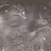 ヒメ日記 2025/10/30 23:53 投稿 かれん マリン千葉店