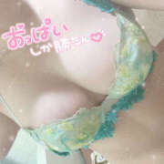 ヒメ日記 2025/09/23 22:15 投稿 つみき 鎌倉御殿 新館