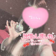 ヒメ日記 2025/09/29 11:57 投稿 つみき 鎌倉御殿 新館