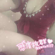 ヒメ日記 2025/10/04 22:36 投稿 つみき 鎌倉御殿 新館