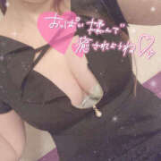 ヒメ日記 2025/11/02 14:57 投稿 つみき 鎌倉御殿 新館