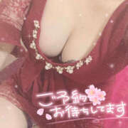 ヒメ日記 2025/11/09 14:21 投稿 つみき 鎌倉御殿 新館