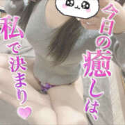 ヒメ日記 2025/11/12 12:48 投稿 つみき 鎌倉御殿 新館