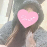 ヒメ日記 2025/12/11 12:24 投稿 つみき 鎌倉御殿 新館