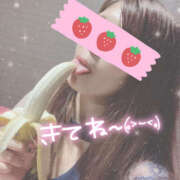 ヒメ日記 2025/12/11 19:24 投稿 つみき 鎌倉御殿 新館