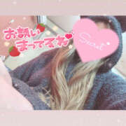 ヒメ日記 2025/12/13 21:57 投稿 つみき 鎌倉御殿 新館