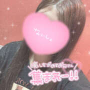 ヒメ日記 2025/12/18 12:39 投稿 つみき 鎌倉御殿 新館