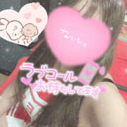 ヒメ日記 2025/12/31 07:09 投稿 つみき 鎌倉御殿 新館