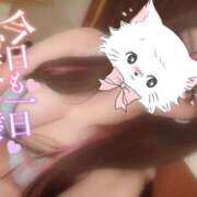 ヒメ日記 2025/09/20 00:31 投稿 のあ 松戸角海老根本店