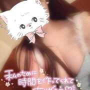 ヒメ日記 2025/09/27 12:21 投稿 のあ 松戸角海老根本店