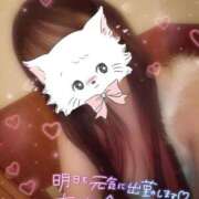 ヒメ日記 2025/09/28 00:31 投稿 のあ 松戸角海老根本店