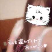 ヒメ日記 2025/10/05 23:41 投稿 のあ 松戸角海老根本店