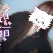 ヒメ日記 2025/10/09 00:21 投稿 のあ 松戸角海老根本店