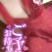 ヒメ日記 2025/11/12 20:51 投稿 のあ 松戸角海老根本店