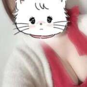 ヒメ日記 2025/11/14 01:51 投稿 のあ 松戸角海老根本店