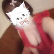 ヒメ日記 2025/11/19 14:01 投稿 のあ 松戸角海老根本店