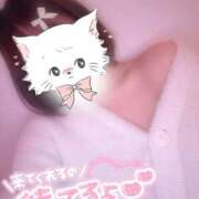 ヒメ日記 2025/12/18 07:31 投稿 のあ 松戸角海老根本店