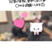 ヒメ日記 2026/01/15 20:21 投稿 のあ 松戸角海老根本店