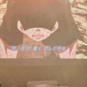 ヒメ日記 2026/01/31 15:22 投稿 のあ 松戸角海老根本店