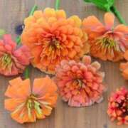 ヒメ日記 2025/09/12 16:06 投稿 八坂 熟女の風俗最終章 新横浜店