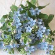 ヒメ日記 2025/09/17 21:36 投稿 八坂 熟女の風俗最終章 新横浜店