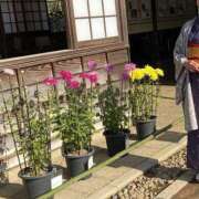 ヒメ日記 2025/10/19 21:06 投稿 八坂 熟女の風俗最終章 新横浜店