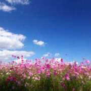 ヒメ日記 2025/11/24 11:57 投稿 八坂 熟女の風俗最終章 新横浜店