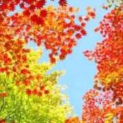 ヒメ日記 2025/11/26 15:56 投稿 八坂 熟女の風俗最終章 新横浜店