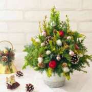 ヒメ日記 2025/12/17 19:16 投稿 八坂 熟女の風俗最終章 新横浜店