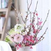 ヒメ日記 2026/01/23 11:27 投稿 八坂 熟女の風俗最終章 新横浜店