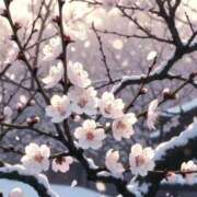 八坂 ありがとうございます❤️🙇‍♀️ 熟女の風俗最終章 新横浜店