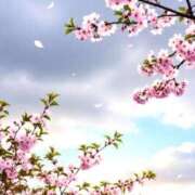 ヒメ日記 2026/03/23 11:46 投稿 八坂 熟女の風俗最終章 新横浜店