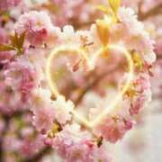 八坂 🌸ありがとうございます🌸 熟女の風俗最終章 新横浜店