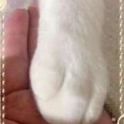 ヒメ日記 2025/10/01 23:40 投稿 池上和花 五十路マダム富山店(カサブランカグループ)