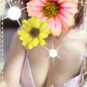 ヒメ日記 2025/11/14 06:20 投稿 池上和花 五十路マダム富山店(カサブランカグループ)