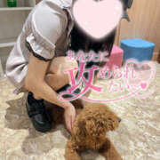 ヒメ日記 2025/09/19 12:16 投稿 かのか/即尺★動画撮影 10代、20代専門ハレンチ倶楽部　姫路店