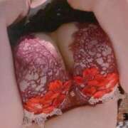 ヒメ日記 2026/02/19 11:15 投稿 のりか 奥様はエンジェル　相模原店