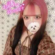 れの このあと💭🧸 ホワイトベル