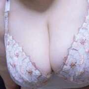 ヒメ日記 2025/11/15 01:36 投稿 はる 兵庫姫路・加古川ちゃんこ