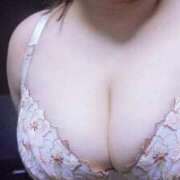 ヒメ日記 2026/02/19 11:20 投稿 はる 兵庫姫路・加古川ちゃんこ