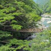 ヒメ日記 2026/07/15 16:42 投稿 はる 兵庫姫路・加古川ちゃんこ
