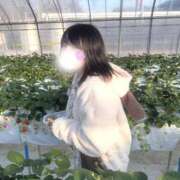 ヒメ日記 2026/02/01 16:30 投稿 ひかり 夜這い物語