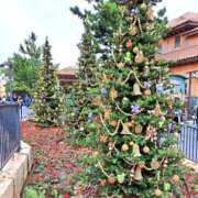 あやか 本日空いてます！ 東京人妻セレブリティ（ユメオト）