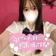 ヒメ日記 2025/10/11 15:44 投稿 一条凜花 ブルーバード