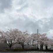 ヒメ日記 2026/04/02 12:06 投稿 藤菜七子 五十路マダムエクスプレス船橋店(カサブランカグループ)