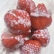 ヒメ日記 2025/09/18 11:00 投稿 天音 高崎人妻城