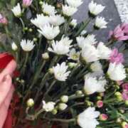 ヒメ日記 2025/09/20 18:21 投稿 藤野れん 五十路マダム 沼津店(カサブランカグループ)