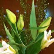 ヒメ日記 2025/10/20 11:21 投稿 藤野れん 五十路マダム 沼津店(カサブランカグループ)